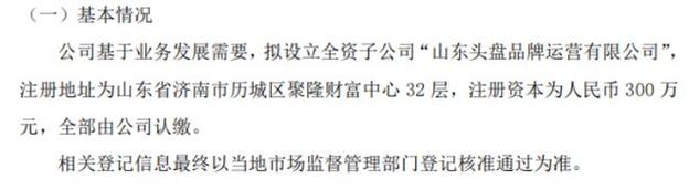 隆鑫股份擬投資300萬設立全資子公司山東頭盤品牌運營