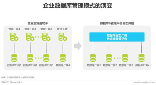 2022年數據庫云管平臺白皮書