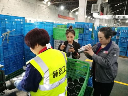 工廠精細化管理分享,新員工成長攻略,朗歐咨詢分享