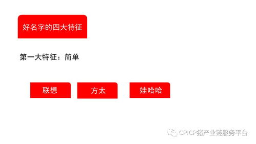 肖一刀 從無到有,打造豬肉品牌丨2018第三屆中國豬產(chǎn)業(yè)鏈生態(tài)圈年會(huì)