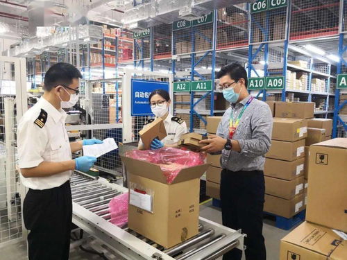 同心 共稽 追求卓越 南京海關(guān)企業(yè)管理和稽查處黨支部黨建品牌創(chuàng)建紀(jì)實