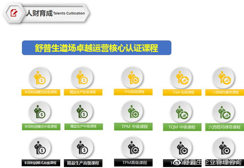 舒普生企業(yè)管理咨詢.舒普生精益六西格瑪?shù)缊? class=